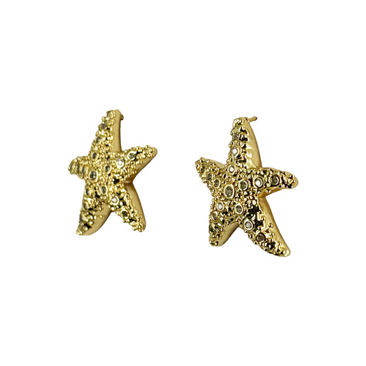 Estrella de Mar con Cristales