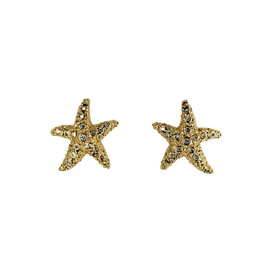 Estrella de Mar con Cristales