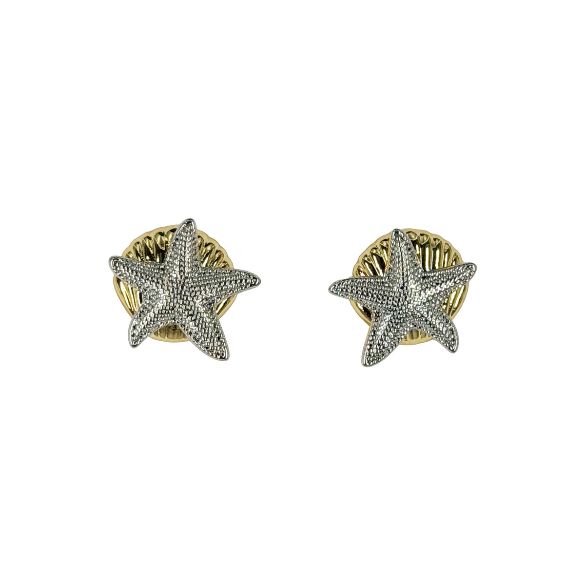 Estrella de Mar Bicolor