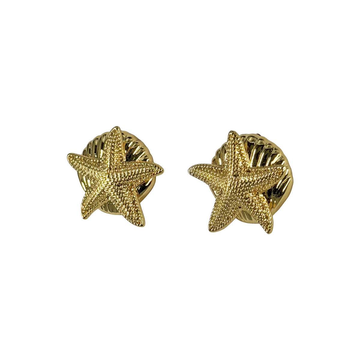Estrella de Mar & Concha Dorado