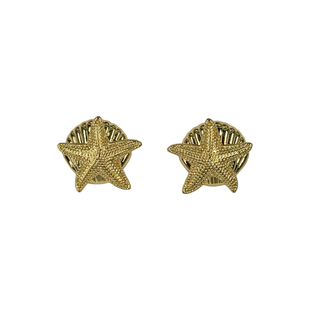 Estrella de Mar & Concha Dorado